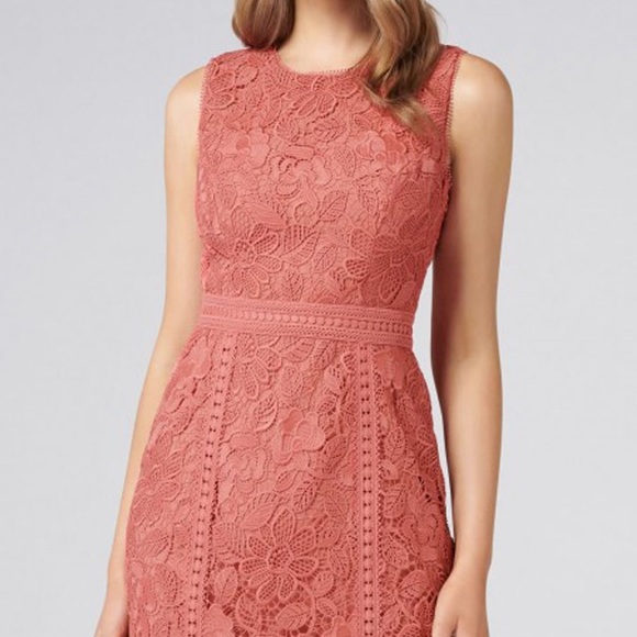 Ever New lace trim dress - Picture 1 of 2
